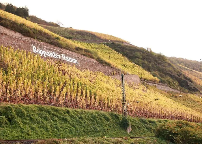 Casa de hóspedes Gemuetlich Und Zentral In Boppard